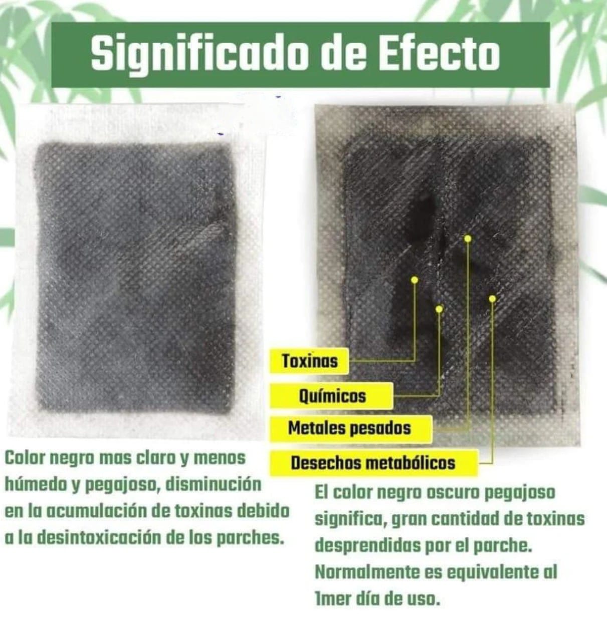 🌿 KINOKI PARCHES DETOX