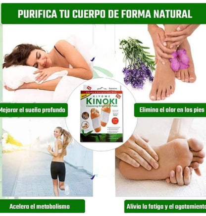 🌿 KINOKI PARCHES DETOX